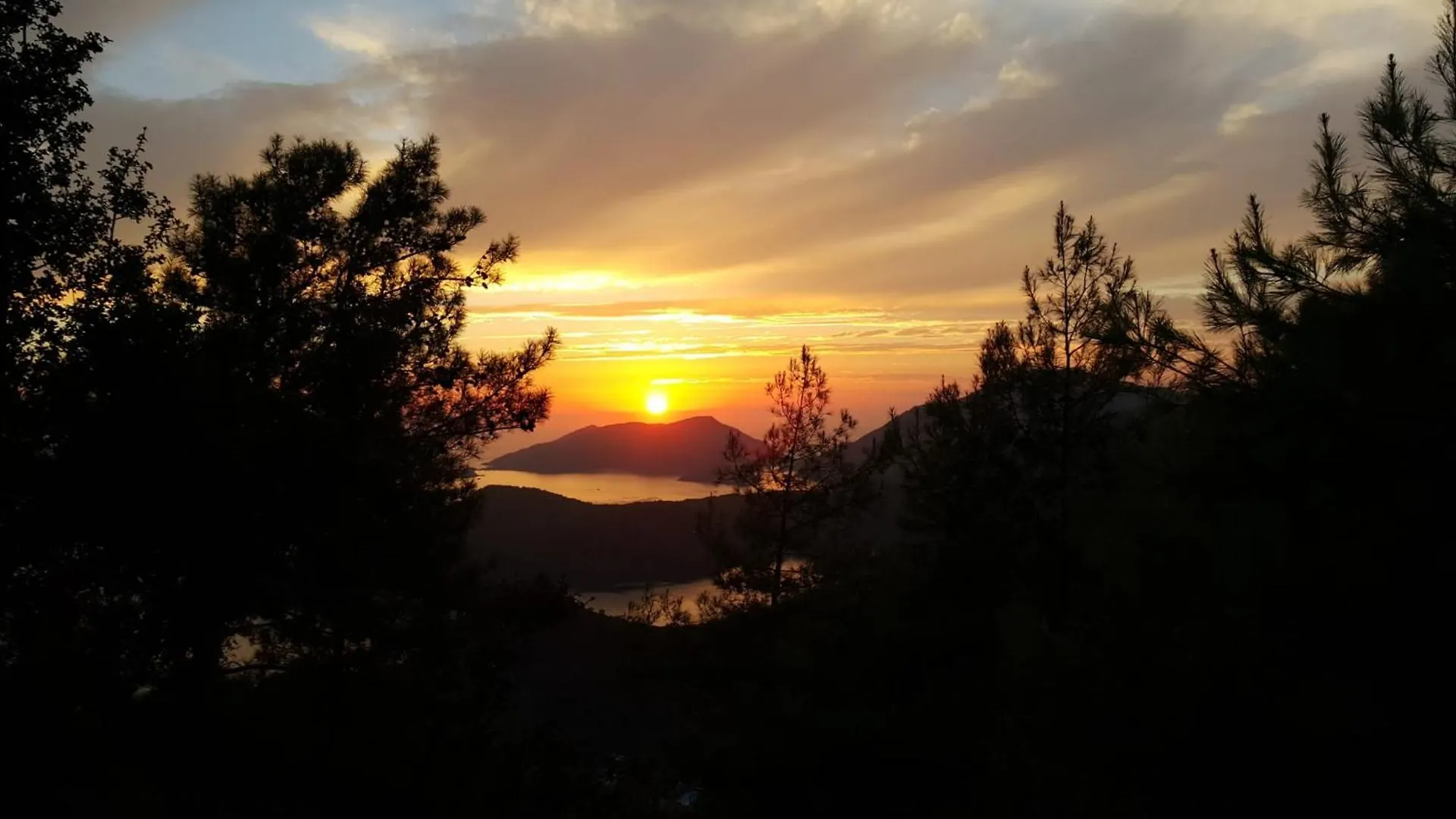 Dolphin Apartments Fethiye 0*,  Turkey